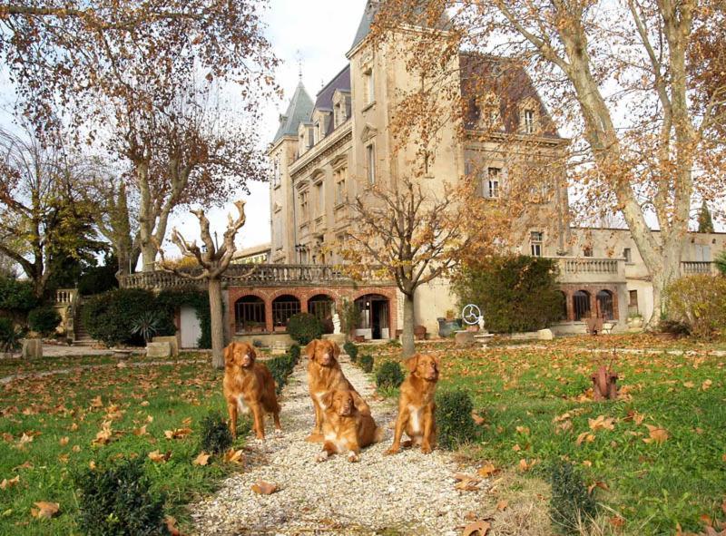 Le Mogador Chateau Du Martinet