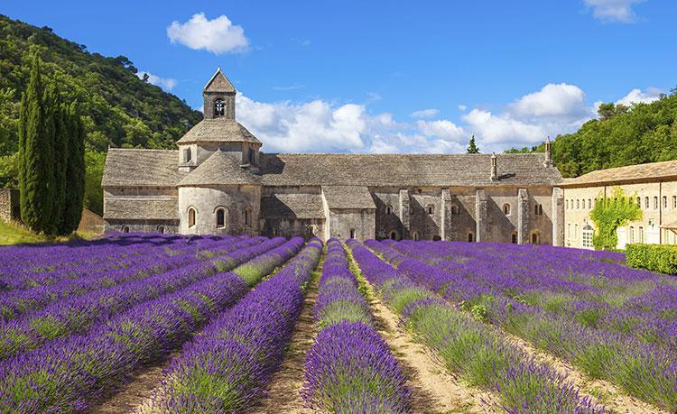 Le Mogador Chateau Du Martinet 3* Violès